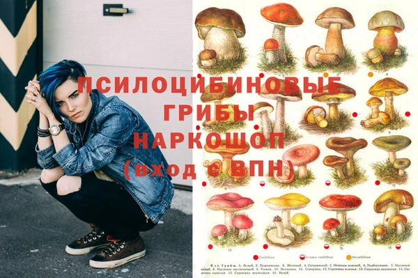 соль ск Аркадак