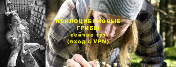 гашик Покачи