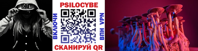 Псилоцибиновые грибы Psilocybine cubensis  Прохладный 